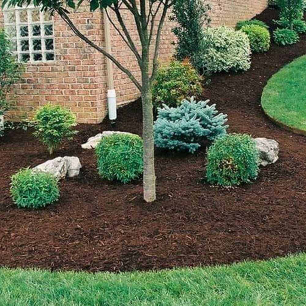 Jose Tree Service and Landscaping (1)