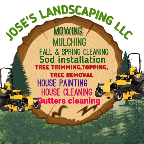Professional Tree Service and Landscaping in Annapolis, MD